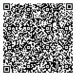 vCard 79371355873