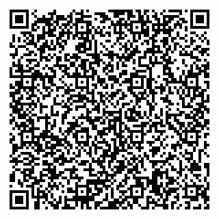 vCard 79371358100