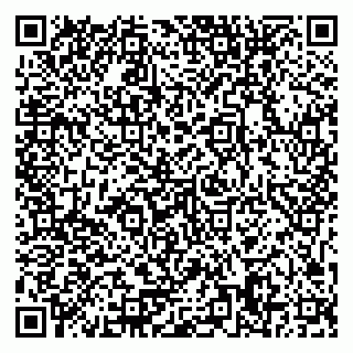 vCard 79371358299