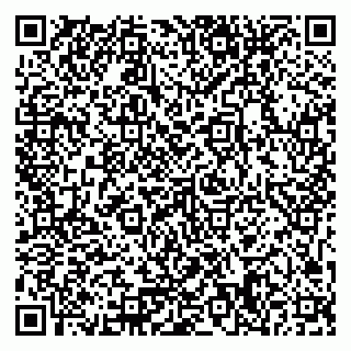 vCard 79371358313