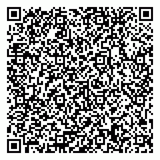 vCard 79371358330