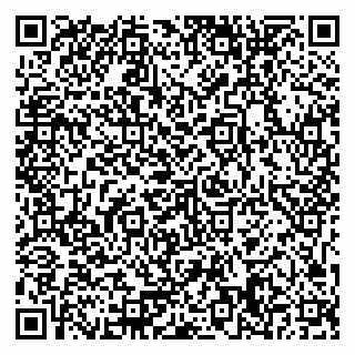 vCard 79371358381