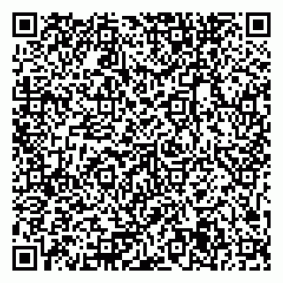 vCard 79371365821