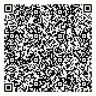 vCard 79371365824