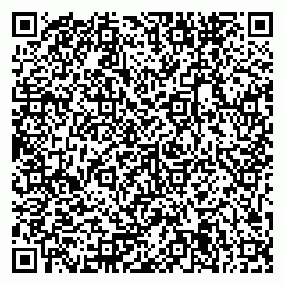 vCard 79371365825