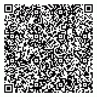 vCard 79371365873