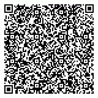 vCard 79371365874