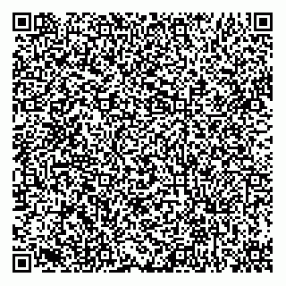 vCard 79372176333