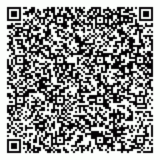 vCard 79372654131