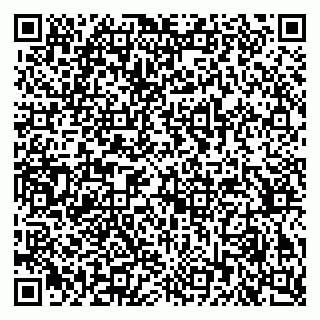 vCard 79372654132