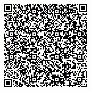 vCard 79372654133