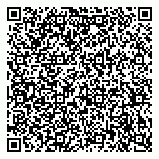 vCard 79372654311