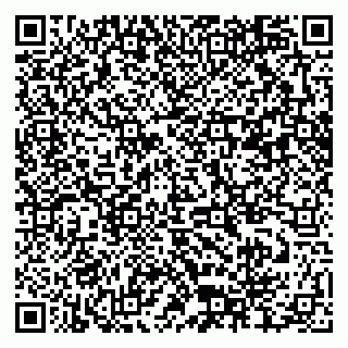 vCard 79372654318