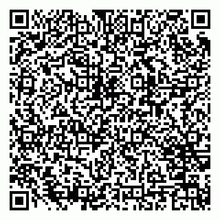 vCard 79372654331