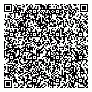 vCard 79372654381