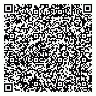 vCard 79372654383