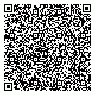vCard 79372654385