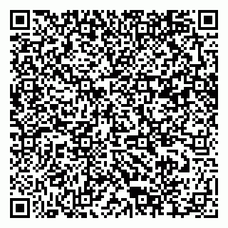 vCard 79372654389