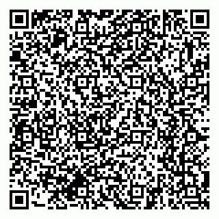 vCard 79374651331