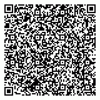 vCard 79374651379