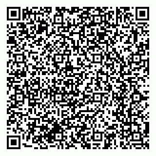 vCard 79374651387