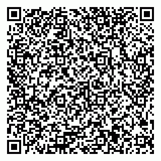 vCard 79375081733