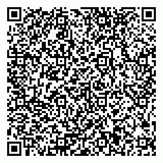 vCard 79375081793