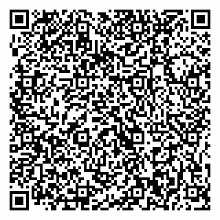 vCard 79375200080