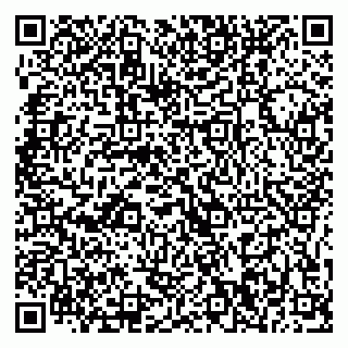 vCard 79375200133