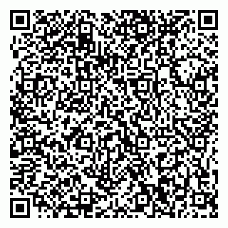 vCard 79375200303