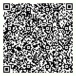 vCard 79375200313