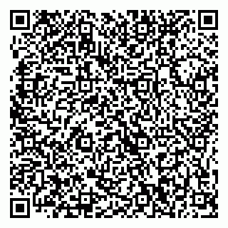 vCard 79375200333