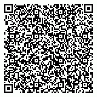 vCard 79375200339