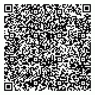 vCard 79375200381
