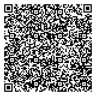 vCard 79375200387