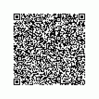 vCard 79375649097