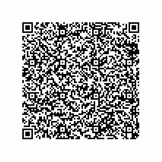 vCard 79375649131