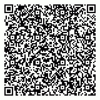 vCard 79376234881
