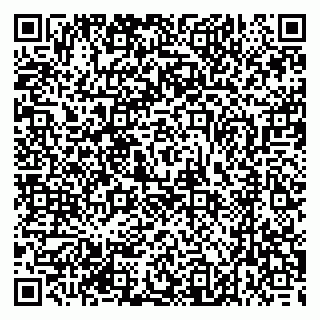 vCard 79376234897
