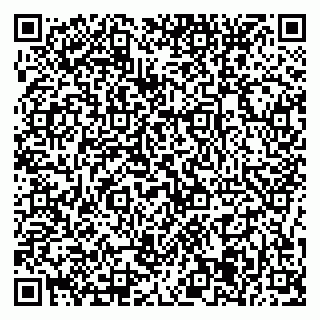 vCard 79376235004