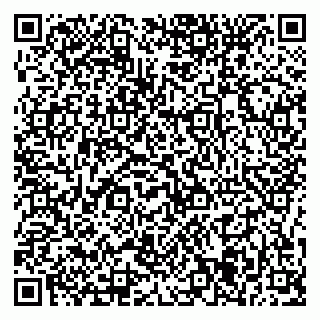 vCard 79376235033