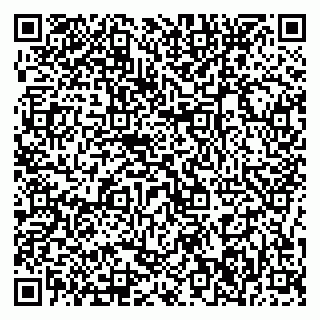 vCard 79376236881