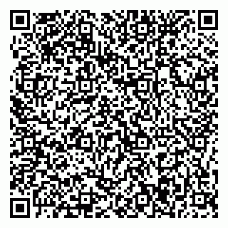 vCard 79376237033