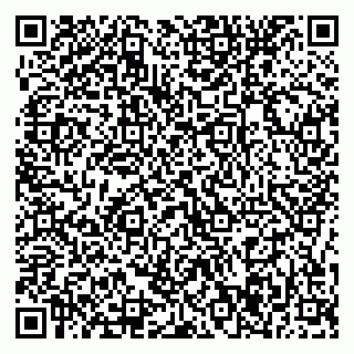 vCard 79376237063