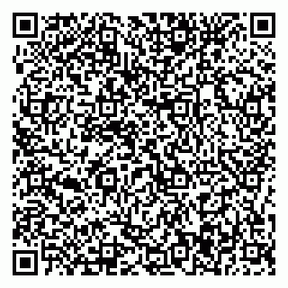 vCard 79376237131