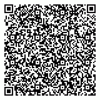 vCard 79376240013