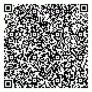 vCard 79376240039