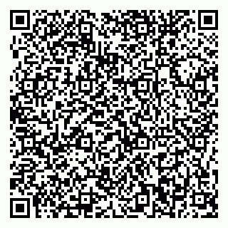 vCard 79376240159