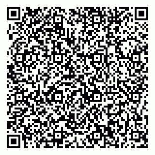 vCard 79376240217