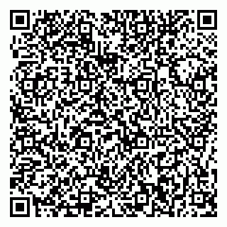 vCard 79376240251